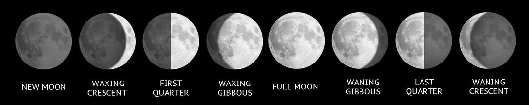 Phases of the Moon