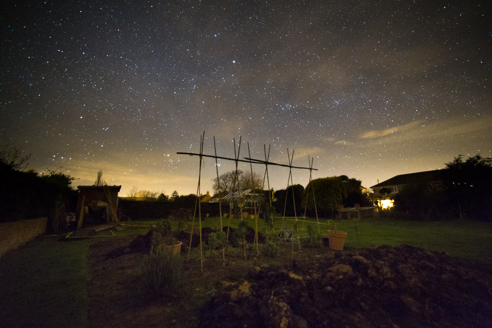 A view of the stars over a vegetable path