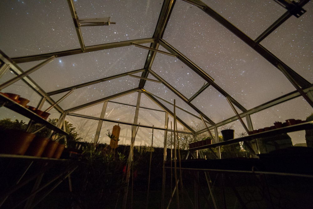 A view of the stars from inside a greenhouse